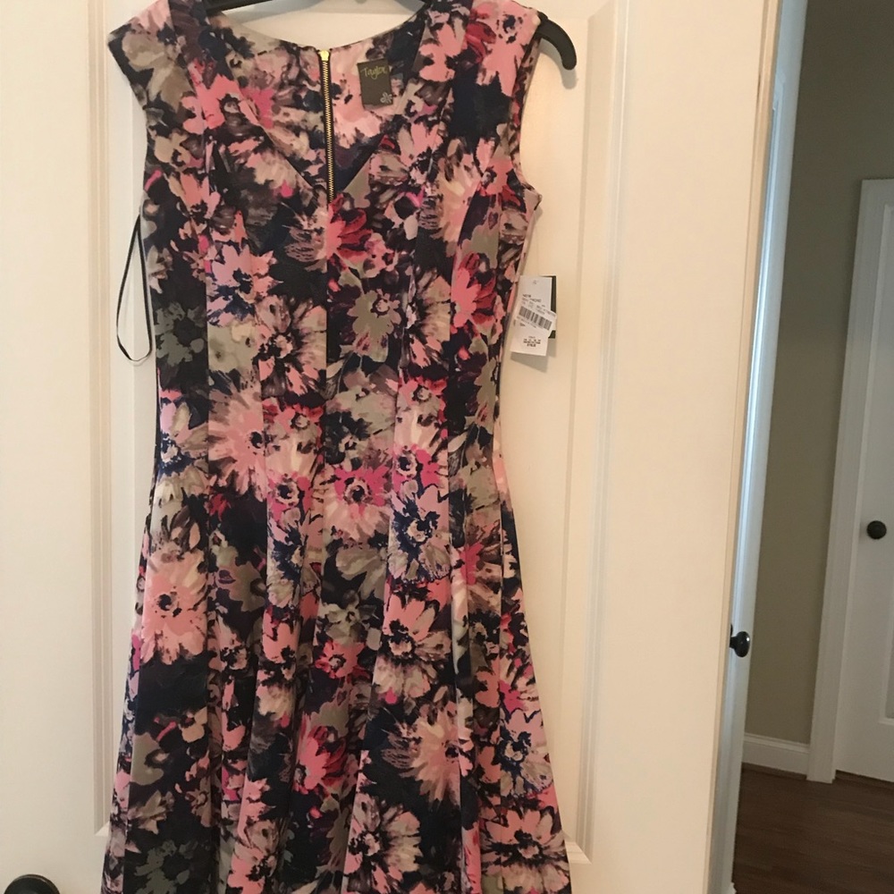 EUC Taylor floral pink gray blue scuba dress sz 6